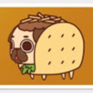 Meet your Posher, Reese